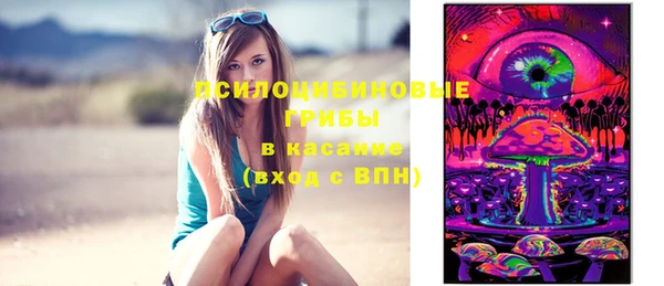 прущая мука Пересвет
