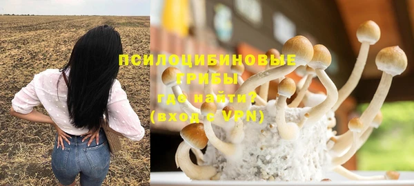 твердый Арсеньев