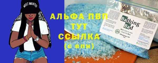 твердый Арсеньев