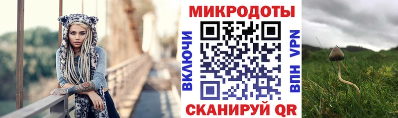 Галлюциногенные грибы Psilocybe  Уржум 